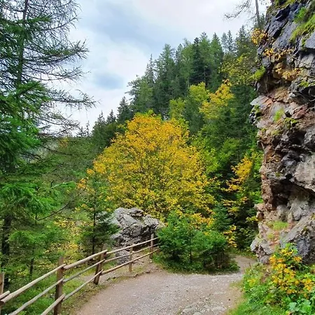 Drevenica Borovianka Velke Borove