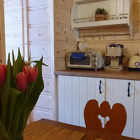 Drevenica Borovianka Nagyborove