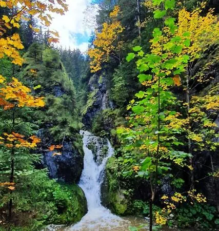 Drevenica Borovianka * Nagyborove