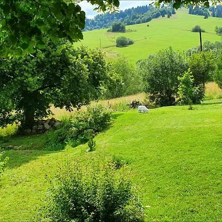 Dağ evi Drevenica Borovianka *