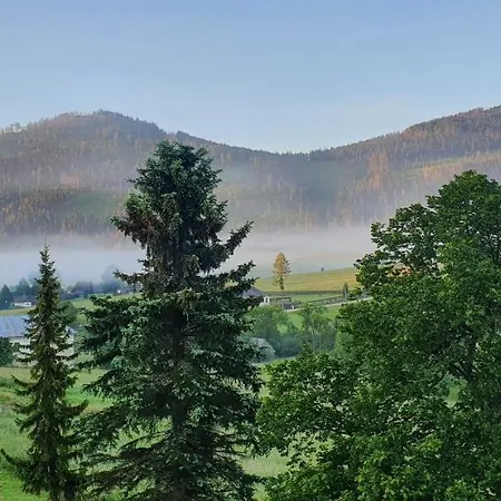 Drevenica Borovianka * Velke Borove