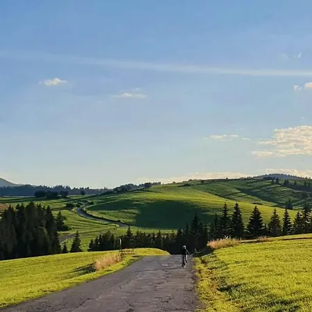 Dağ evi Drevenica Borovianka Velke Borove