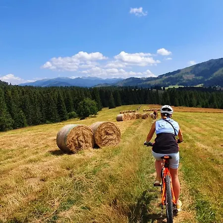 Alpehytte Drevenica Borovianka *