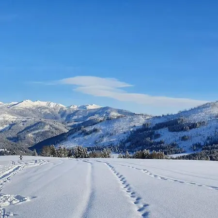 Drevenica Borovianka