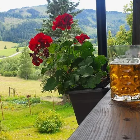 Alpesi faház Drevenica Borovianka *