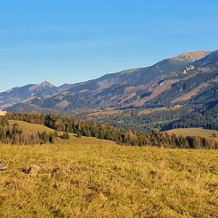 Drevenica Borovianka * Velke Borove