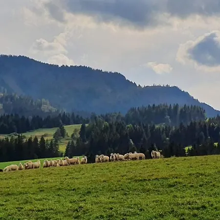 Chata Drevenica Borovianka Velke Borove