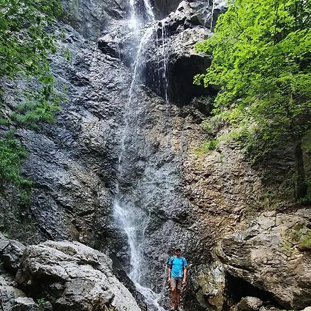 Drevenica Borovianka * Nagyborove