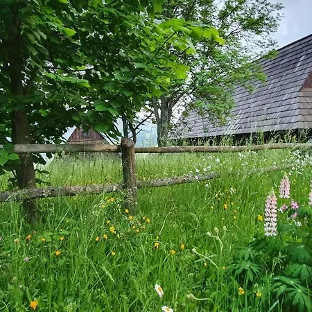 Drevenica Borovianka Alpehytte Velke Borove