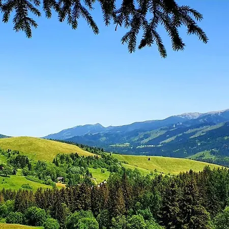 Drevenica Borovianka