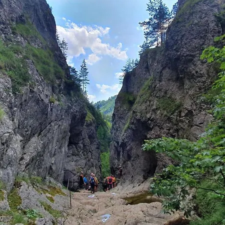 Alpesi faház Drevenica Borovianka Nagyborove