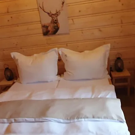 Alpesi faház Drevenica Borovianka