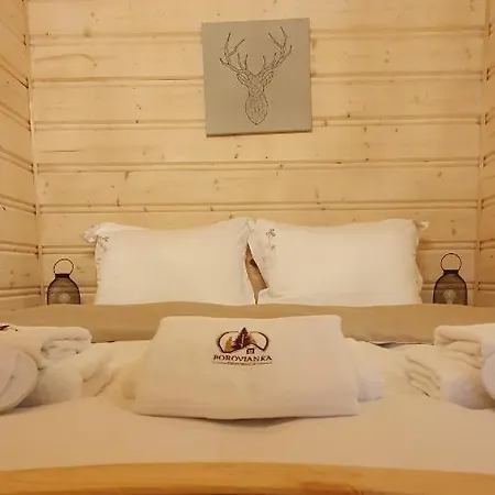 Drevenica Borovianka *