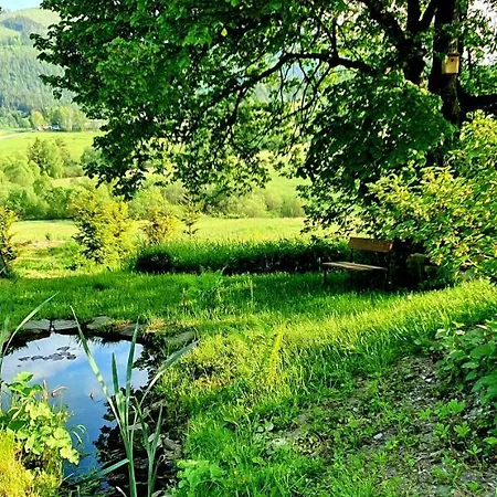 Drevenica Borovianka Alpesi faház Nagyborove