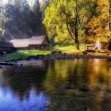 Alpesi faház Drevenica Borovianka *