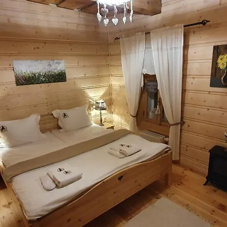 Drevenica Borovianka *