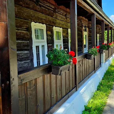 Drevenica Borovianka *